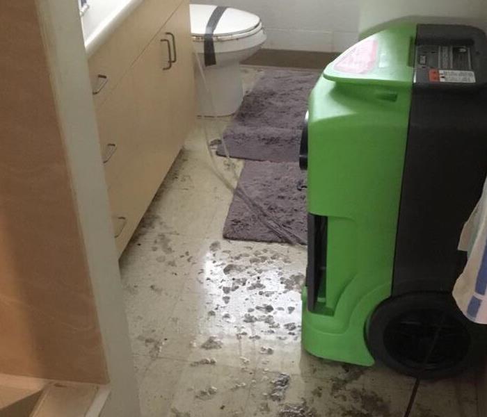 toilet water contaminants spread across the floor 