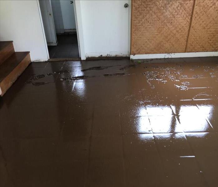 A layer of mud covering the floor of a tile floor with some footprints in the mud