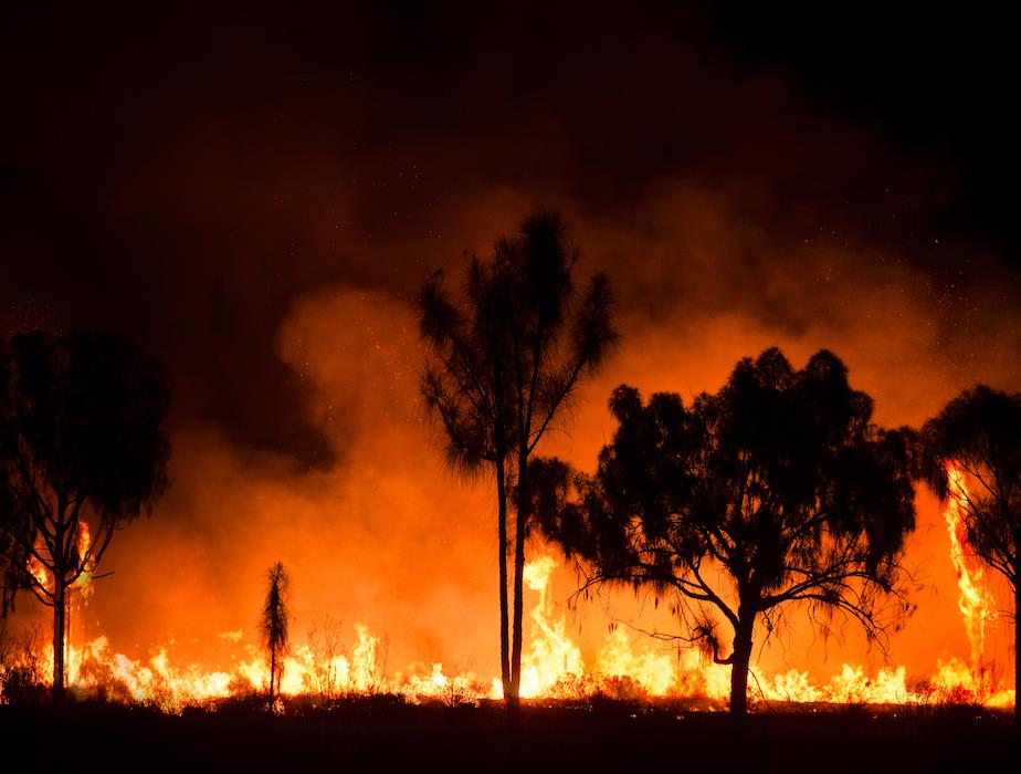 A stock photo of a glowing wildfire at night 